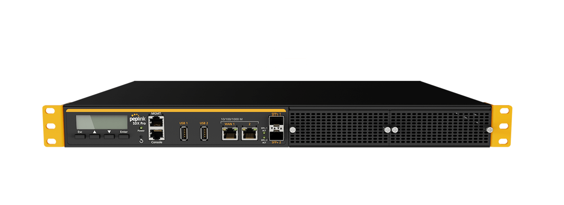 Peplink SDX Pro
